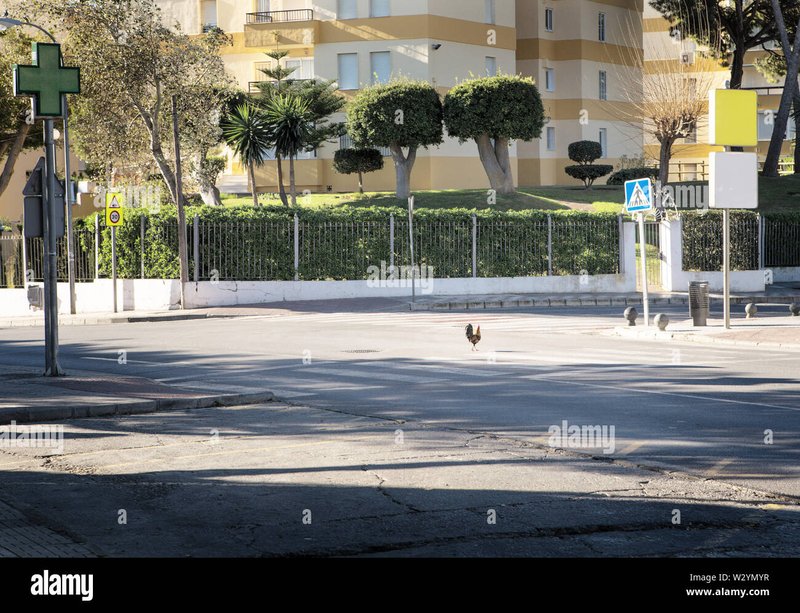 Image: Descubre el misterio de Chicken Road Casino en España: Juegos oficiales y más