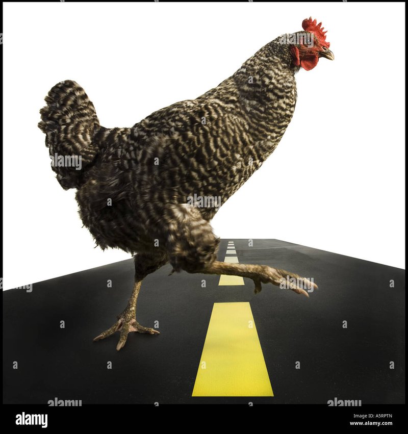 Chicken road demo in Netherlands
