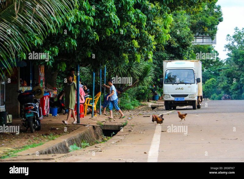 Netherlands - chicken road spel